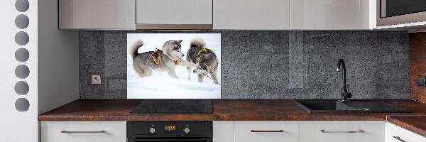 Pannello retrocucina con stampa raffigurante un husky in inverno