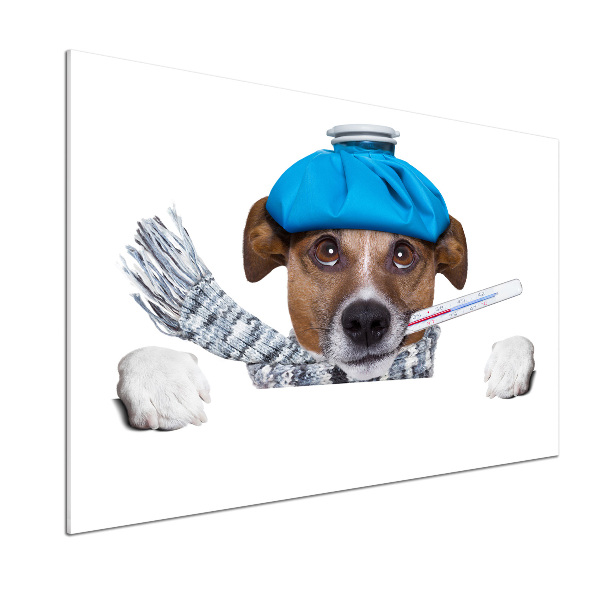 Pannello paraschizzi cucina con stampa raffigurante un cane malato