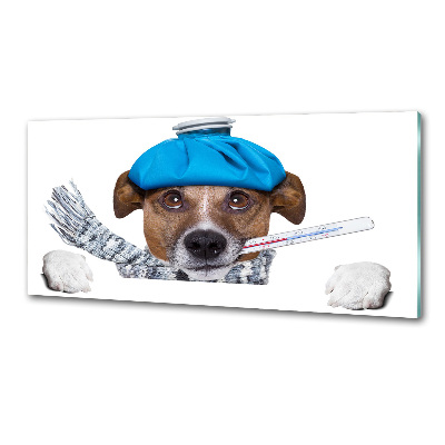 Pannello paraschizzi cucina con stampa raffigurante un cane malato