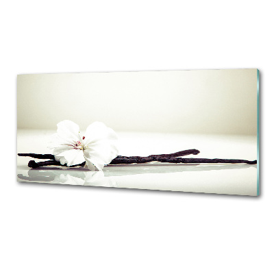 Rivestimento parete cucina con motivo baccello di vaniglia