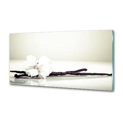 Rivestimento parete cucina con motivo baccello di vaniglia