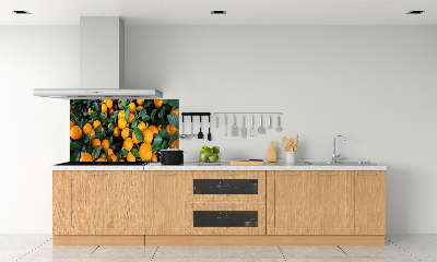 Pannello paraschizzi cucina con motivo di mandarini