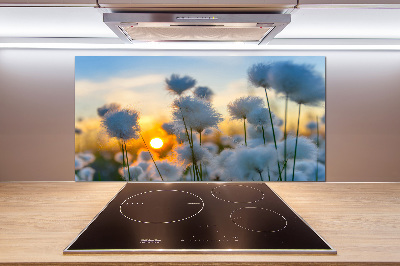 Pannello paraschizzi cucina con motivo Erba cotone