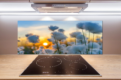 Pannello paraschizzi cucina con motivo Erba cotone