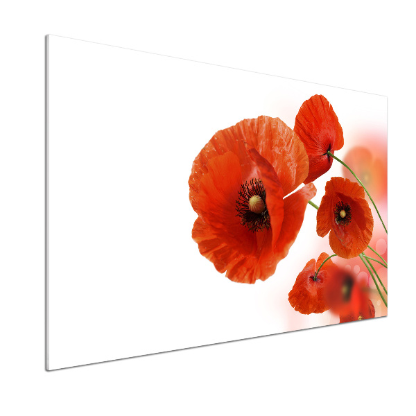 Pannello paraschizzi cucina con decoro papaveri