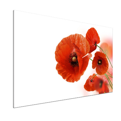 Pannello paraschizzi cucina con decoro papaveri