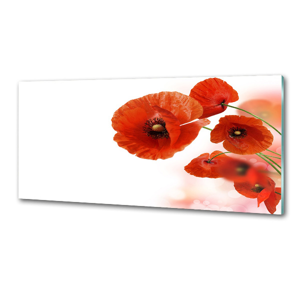 Pannello paraschizzi cucina con decoro papaveri