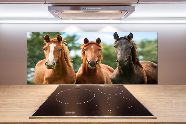 Rivestimento parete cucina con motivo Tre Cavalli