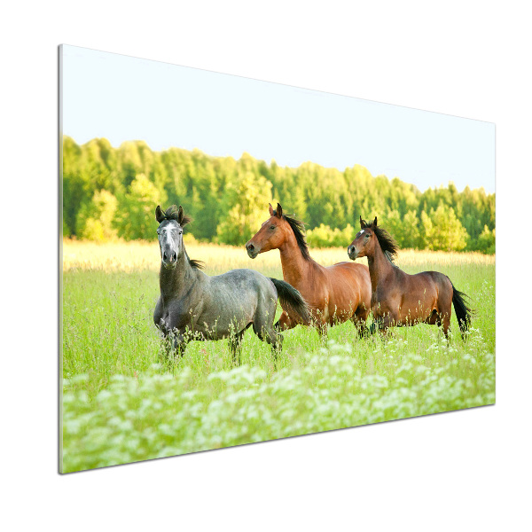 Pannello retrocucina con stampa di cavalli al galoppo