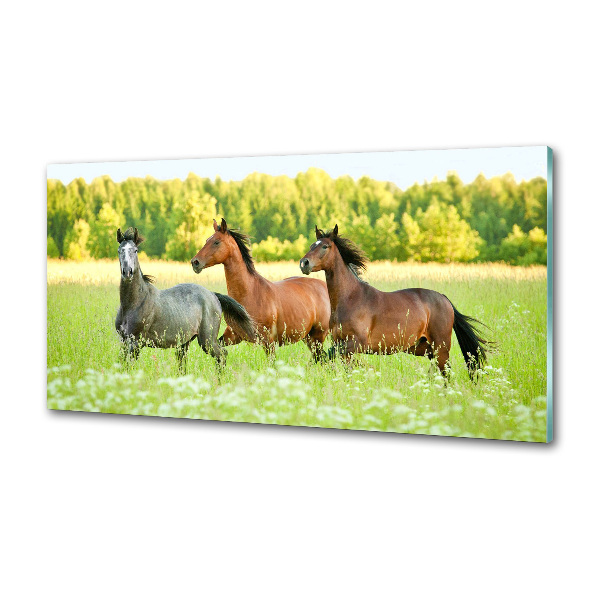 Pannello retrocucina con stampa di cavalli al galoppo