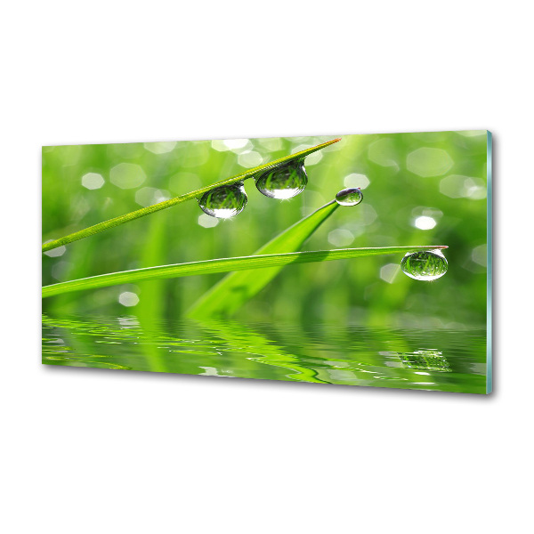 Rivestimento parete cucina con motivo Gocce sull'erba