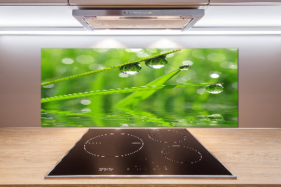 Rivestimento parete cucina con motivo Gocce sull'erba