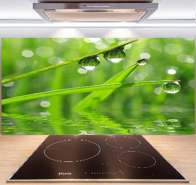 Rivestimento parete cucina con motivo Gocce sull'erba