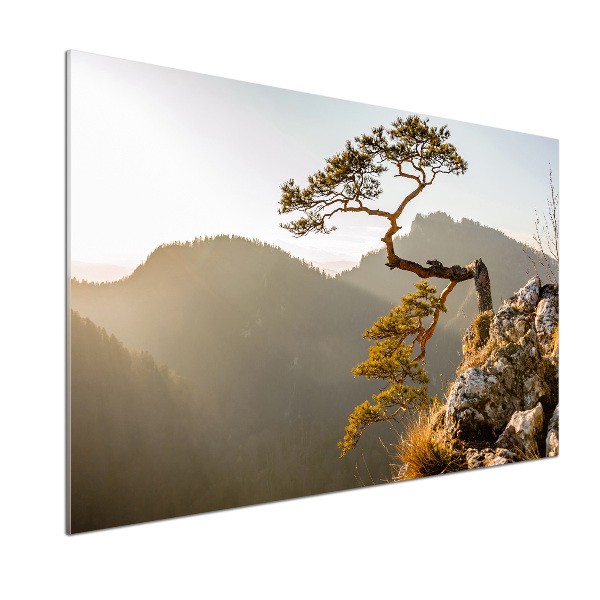 Pannello paraschizzi cucina con motivo Sokolica Pieniny