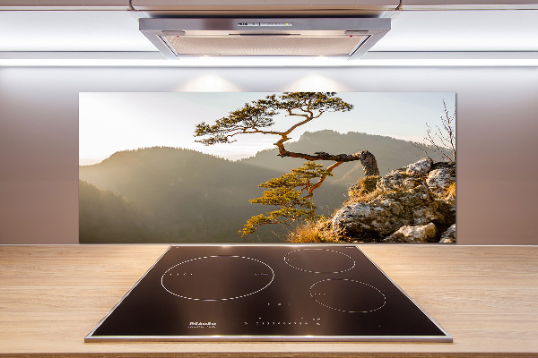 Pannello paraschizzi cucina con motivo Sokolica Pieniny