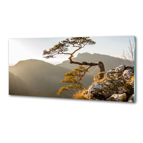 Pannello paraschizzi cucina con motivo Sokolica Pieniny