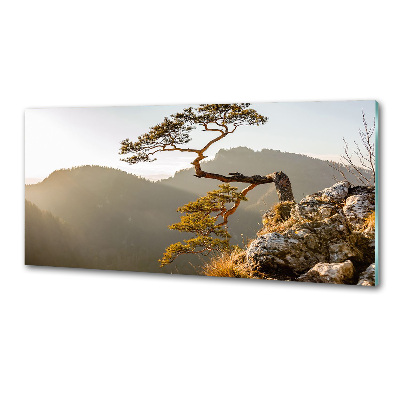 Pannello paraschizzi cucina con motivo Sokolica Pieniny