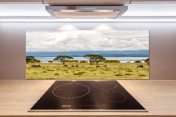 Pannello retrocucina con stampa Lago Naivasha