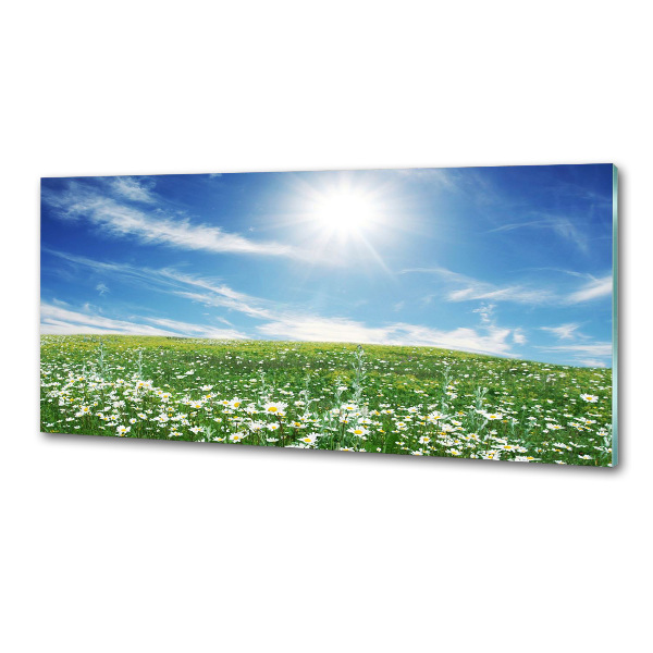 Pannello retrocucina con motivo Prato