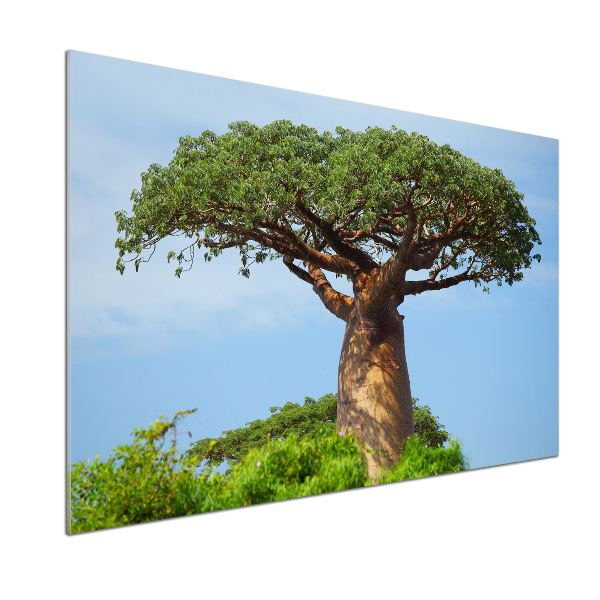 Pannello retrocucina con motivo Baobab