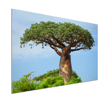 Pannello retrocucina con motivo Baobab