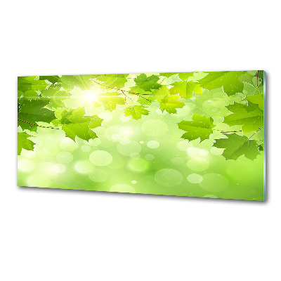 Pannello paraschizzi cucina con motivo a foglie di ippocastano