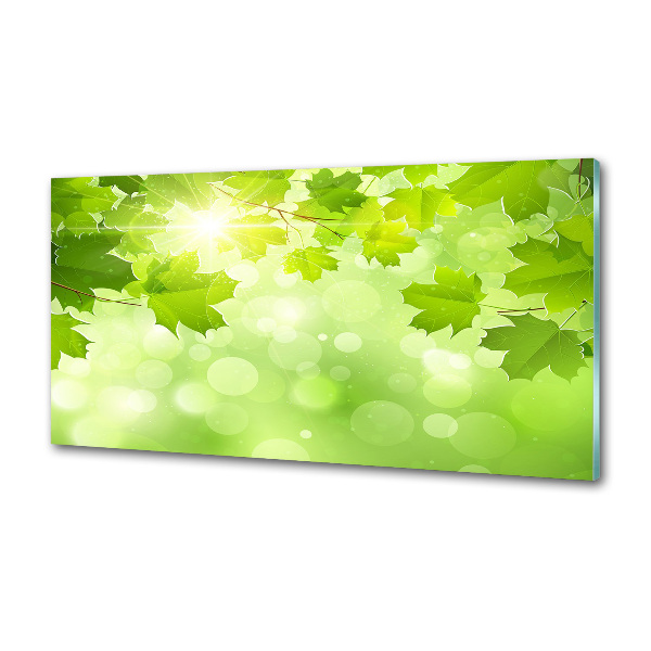 Pannello paraschizzi cucina con motivo a foglie di ippocastano