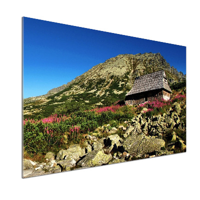 Pannello retrocucina con il motivo 