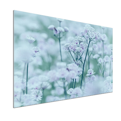 Pannello retrocucina con motivo Mantlewort maggiore