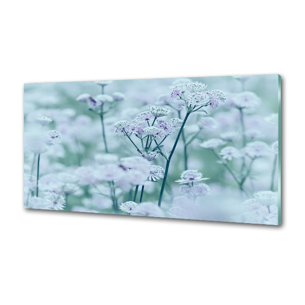 Pannello retrocucina con motivo Mantlewort maggiore