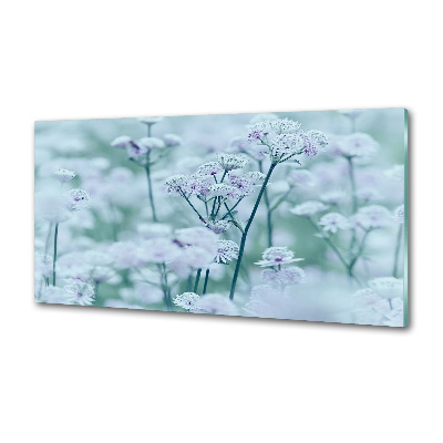 Pannello retrocucina con motivo Mantlewort maggiore