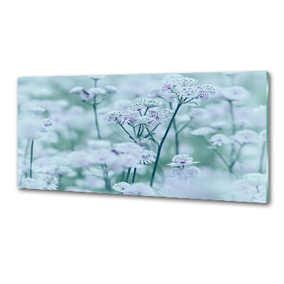 Pannello retrocucina con motivo Mantlewort maggiore