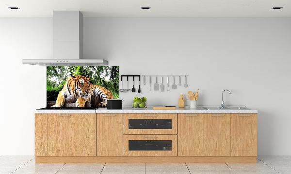 Pannello paraschizzi cucina con stampa di una tigre su una roccia