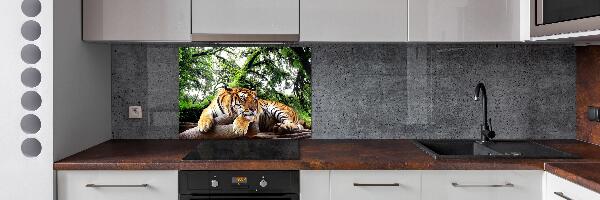 Pannello paraschizzi cucina con stampa di una tigre su una roccia