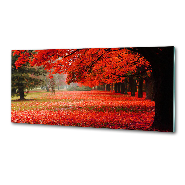 Rivestimento parete cucina con motivo di alberi in versione autunnale