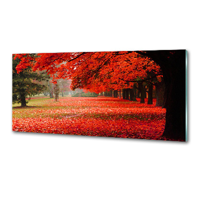 Rivestimento parete cucina con motivo di alberi in versione autunnale