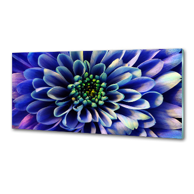 Pannello retrocucina con finitura Aster