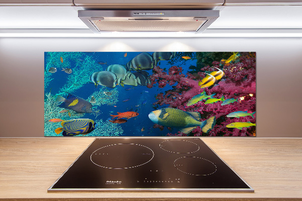 Rivestimento parete cucina con motivo barriera corallina