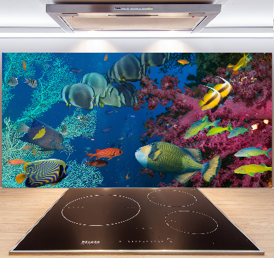 Rivestimento parete cucina con motivo barriera corallina