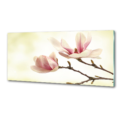 Rivestimento parete cucina in finitura magnolia