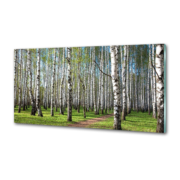 Rivestimento parete cucina con motivo Foresta di betulle