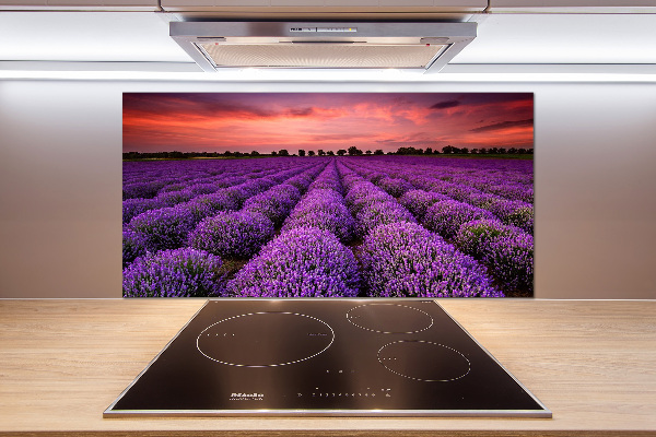 Rivestimento parete cucina con motivo a campo di lavanda