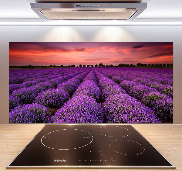 Rivestimento parete cucina con motivo a campo di lavanda
