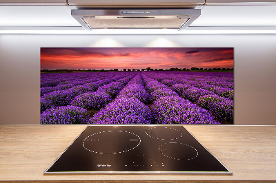 Rivestimento parete cucina con motivo a campo di lavanda
