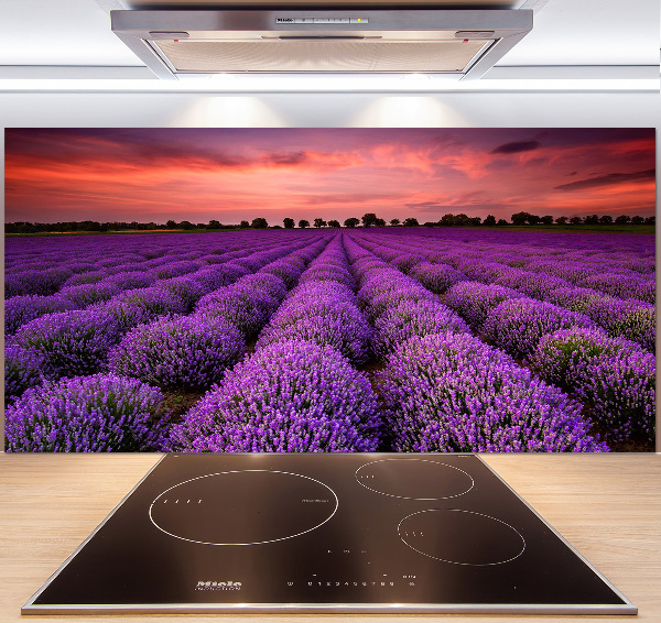Rivestimento parete cucina con motivo a campo di lavanda