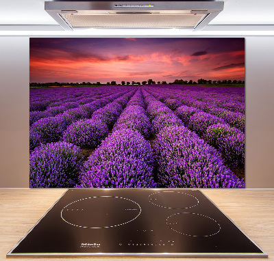 Rivestimento parete cucina con motivo a campo di lavanda