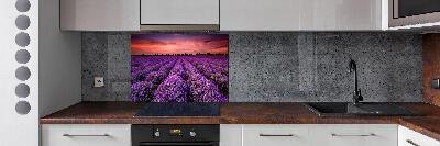 Rivestimento parete cucina con motivo a campo di lavanda