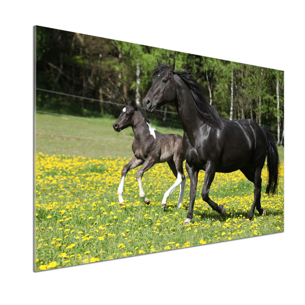 Pannello retrocucina con decorazione raffigurante una giumenta con il puledro