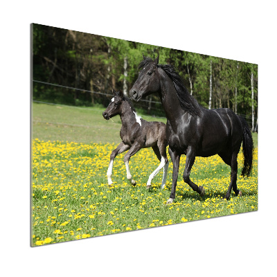 Pannello retrocucina con decorazione raffigurante una giumenta con il puledro