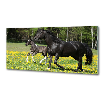 Pannello retrocucina con decorazione raffigurante una giumenta con il puledro